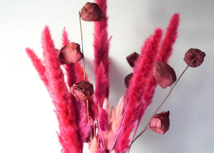 La Bastide Du Laizon & Maizières